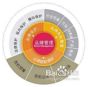打造個(gè)性化爬蟲店Logo的核心策略 以品牌管理驅(qū)動(dòng)形象升級(jí)